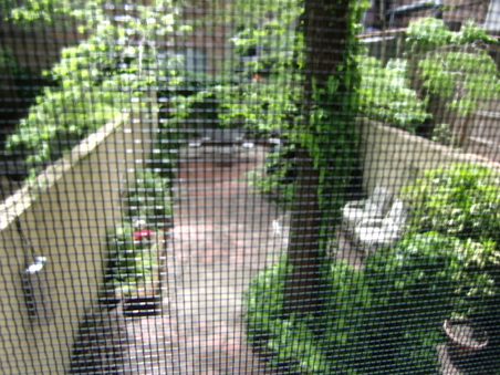 Enlarge photo 22
