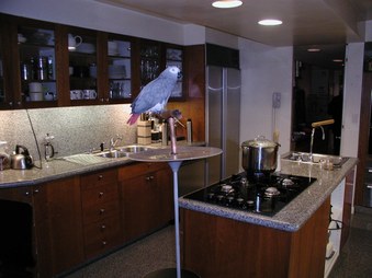 Enlarge photo 9
