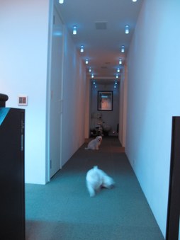Enlarge photo 23