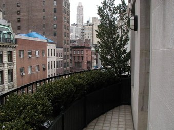 Enlarge photo 51