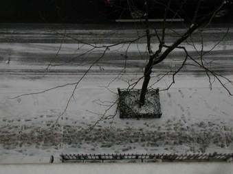 Enlarge photo 16