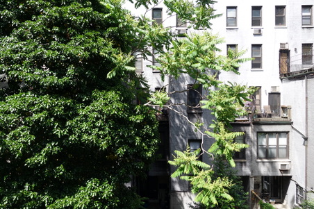 Enlarge photo 93
