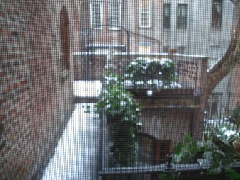 Enlarge photo 30