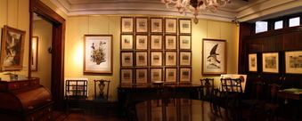 Enlarge photo 14
