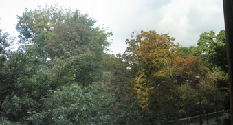 Enlarge photo 32