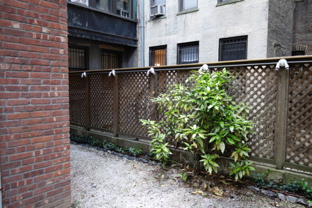 Enlarge photo 30