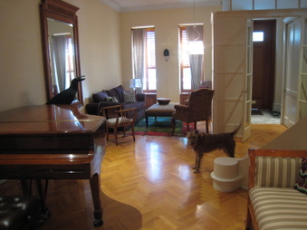 Enlarge photo 13