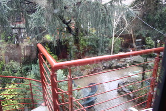 Enlarge photo 14