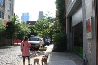 Enlarge photo 19