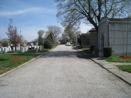 Enlarge photo 13