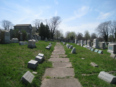 Enlarge photo 15