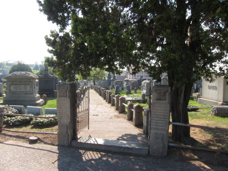 Enlarge photo 21