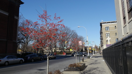 Enlarge photo 13