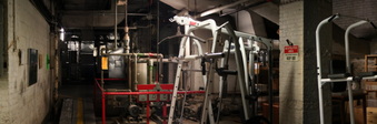 Enlarge photo 29