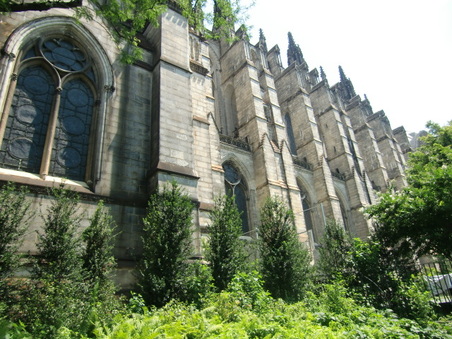 Enlarge photo 72