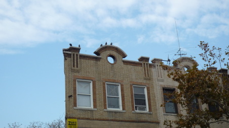 Enlarge photo 45