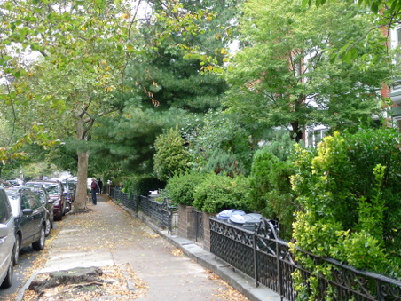 Enlarge photo 11