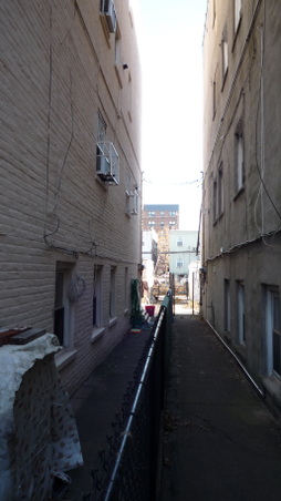Enlarge photo 11