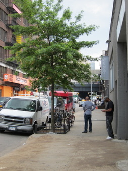 534 W29th St