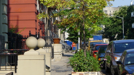 Enlarge photo 10
