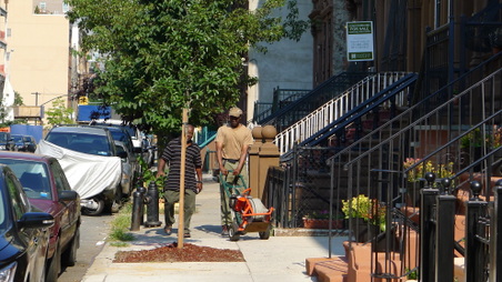 Enlarge photo 7