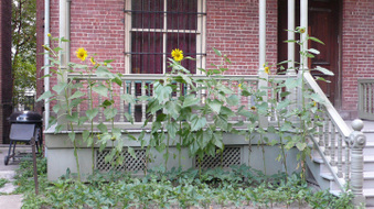 Enlarge photo 11