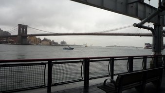 Enlarge photo 24