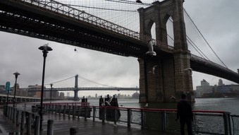 Enlarge photo 35