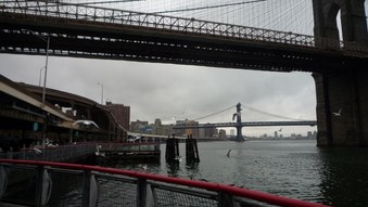Enlarge photo 36