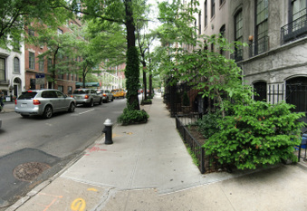 37th Street (Park/Lex) - Thru Street