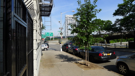 Enlarge photo 20