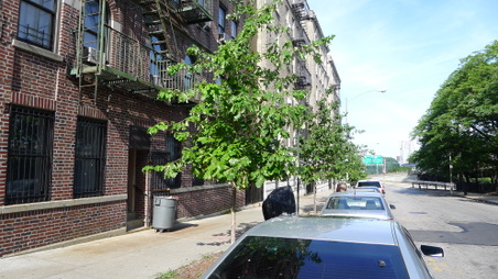 Enlarge photo 11