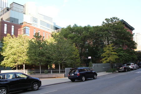 Enlarge photo 13