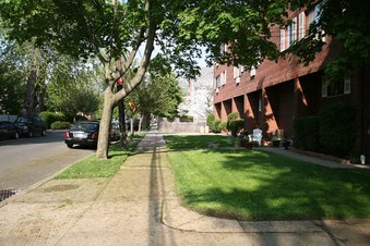 Enlarge photo 42