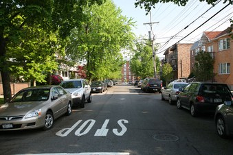 Enlarge photo 45