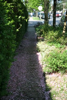 Enlarge photo 61