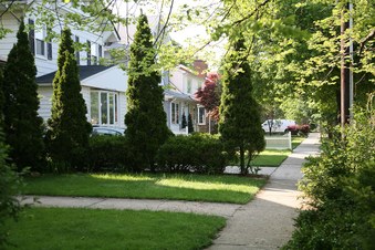 Enlarge photo 63