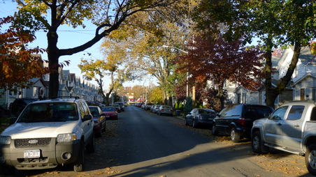 FOREST HILLS