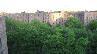 Enlarge photo 31