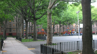 Enlarge photo 11