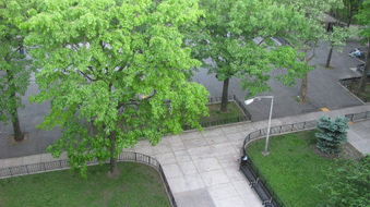 Enlarge photo 21