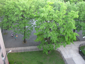 Enlarge photo 18
