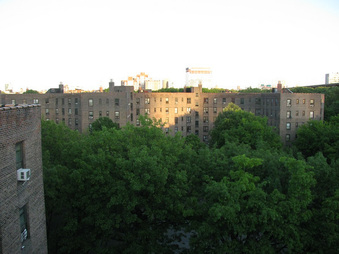 Enlarge photo 17