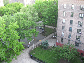 Enlarge photo 15