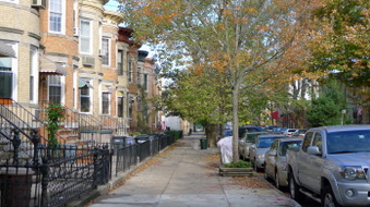 RIDGEWOOD, QUEENS