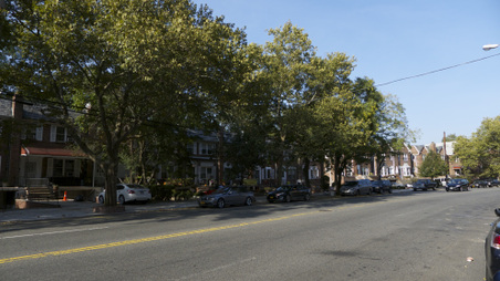 Enlarge photo 15