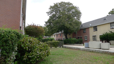 Enlarge photo 7