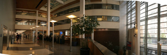 Enlarge photo 49