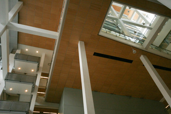 Enlarge photo 55