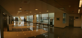 Enlarge photo 58